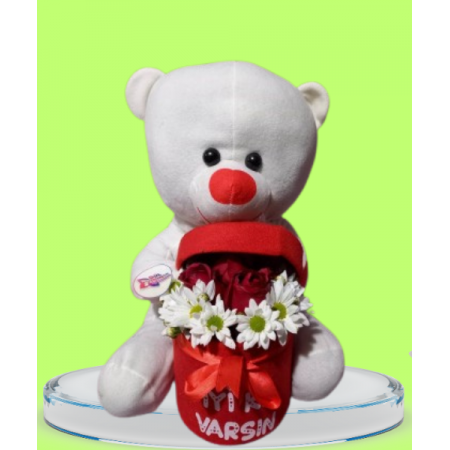 PELUŞ AYICIKLI ÇİÇEK KUTUSU 